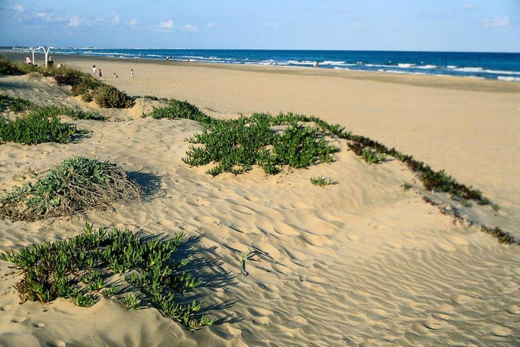 Apartamento En Playa Canet De Berenguer カネット・デ・ベレンゲル エクステリア 写真